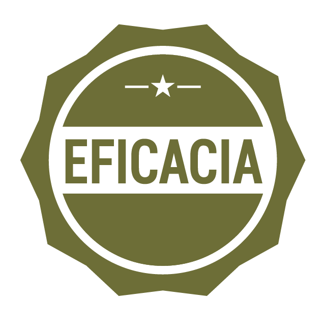 Sello de eficacia y cumplimiento de plazos en obras verticales