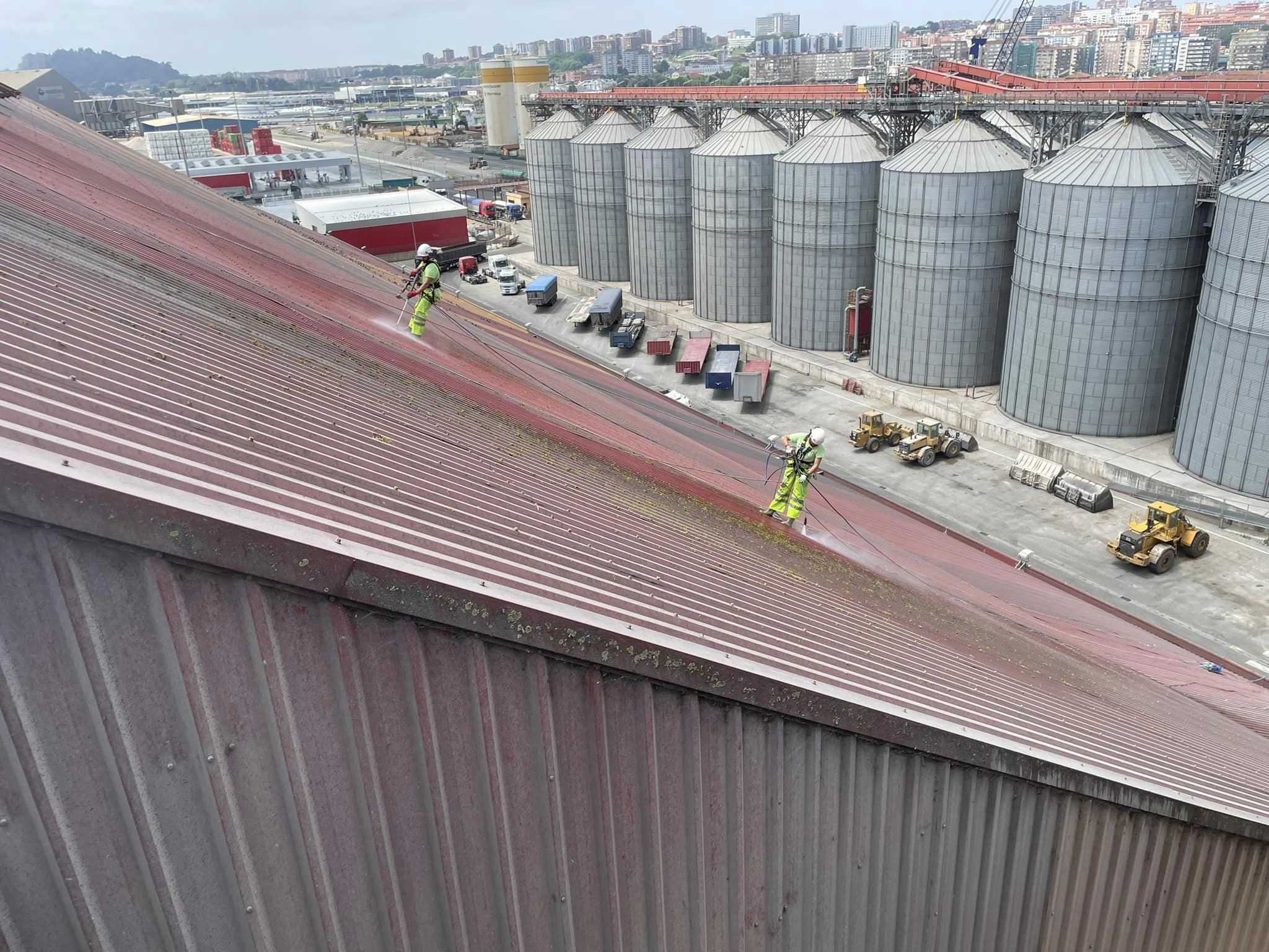 Servicios DS Verticales